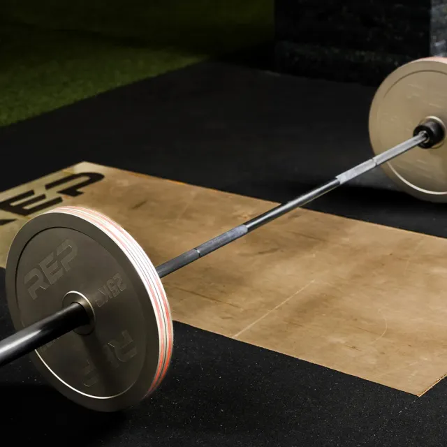 【REP】REP 精鋼校準槓片10KG（2入裝）/國際 IPF標準