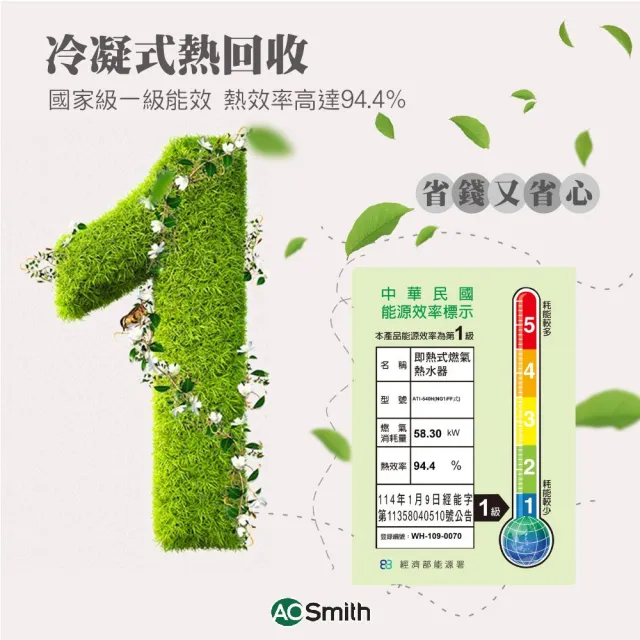 【A.O.Smith】AO史密斯 32L智慧變頻恆溫強排瓦斯熱水器 ATI-540H NG1/FF式 (僅適用天然氣)