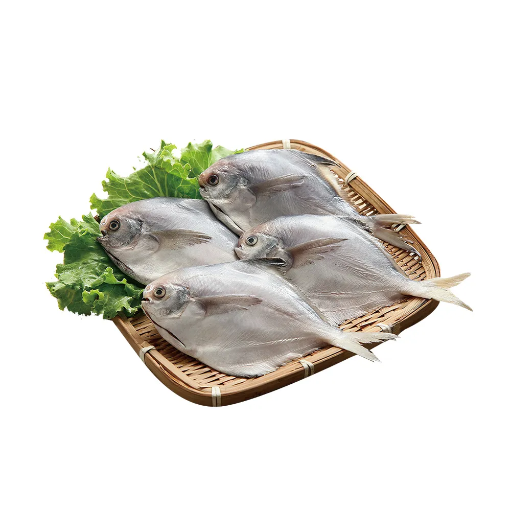 鮮凍捕撈野生白鯧