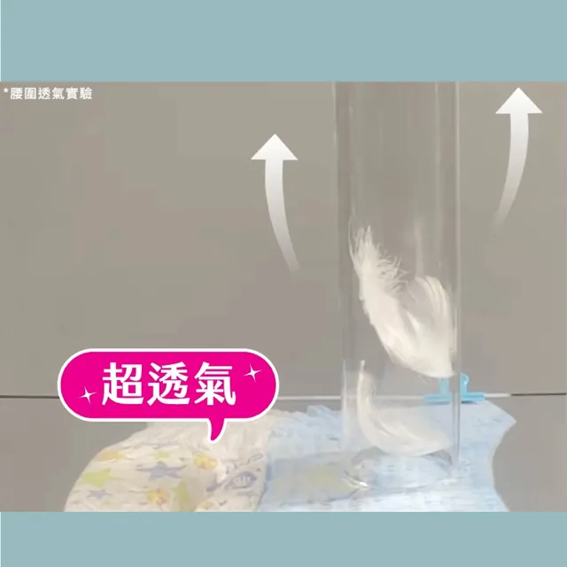 ★直降組★【滿意寶寶】兒童系列晚安褲男/女-L-XXXL 6箱組(寶可夢限定/皮卡丘/伊布)-無贈品賣場