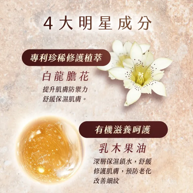 【AMIINO 安美諾 】珍珠淨白身體乳120ml 小雛菊二入(美白乳液/保濕鎖水/身體保養)