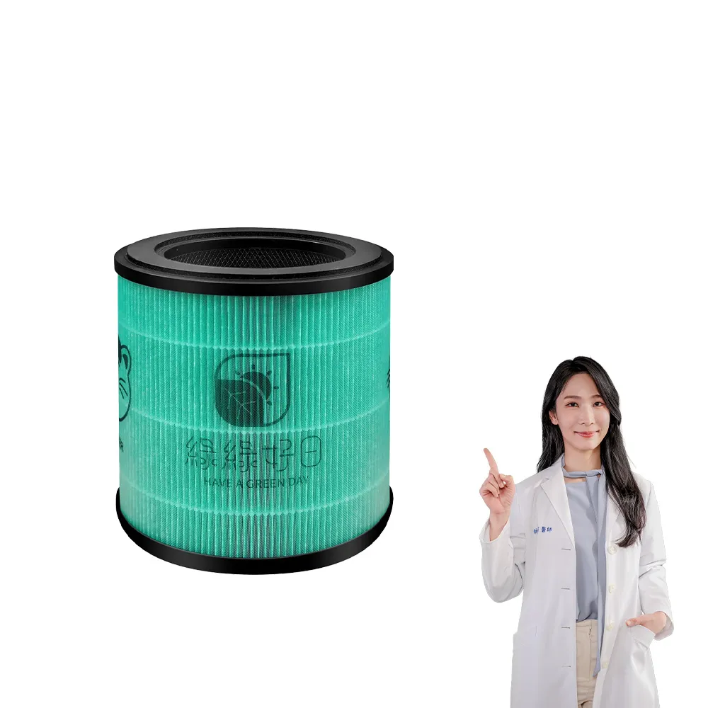 【綠綠好日】適用 Philips 飛利浦 AC0819 AC0819/80 AC0850 AC0850/81 HEPA抗菌濾芯+活性碳(濾網)