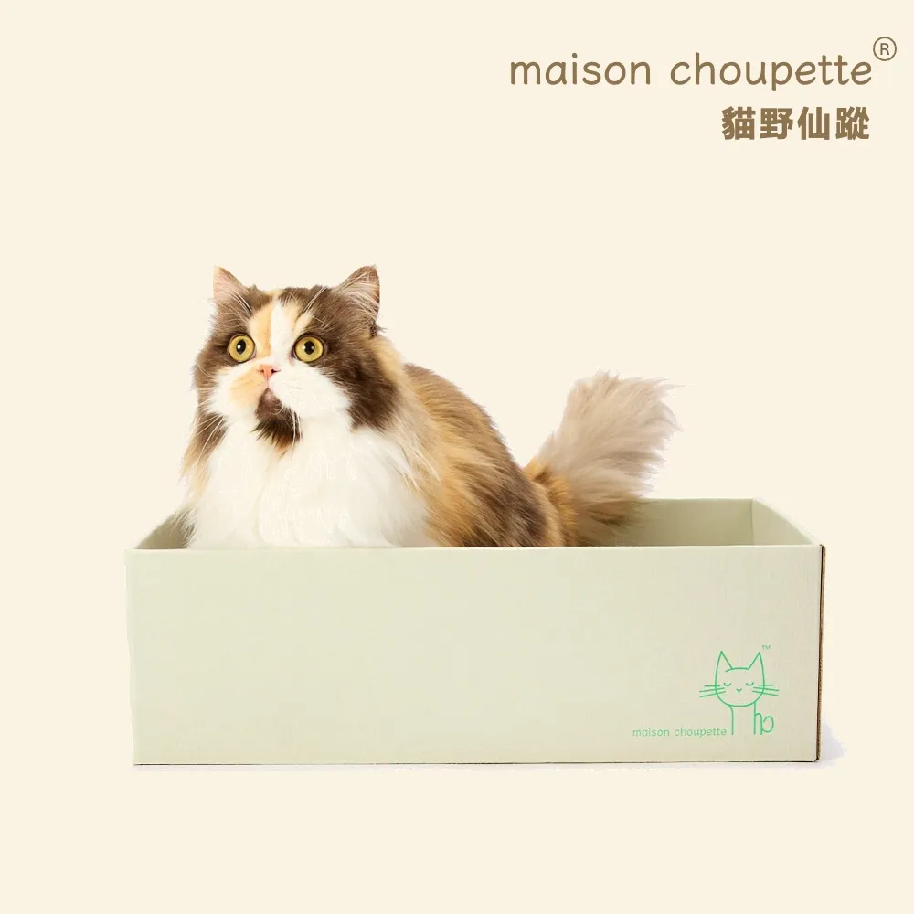 【maison choupette】貓野仙蹤 紙盒貓窩抓板可替換_森林系列_不易掉屑貓抓板