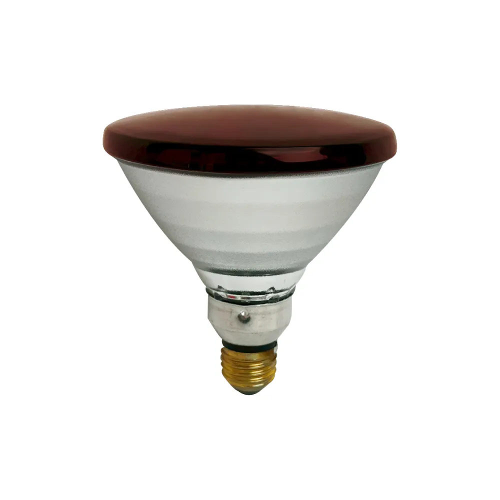 【Philips 飛利浦】PAR38E 150W E27 紅外線燈泡 溫熱燈泡 加熱燈泡 熱敷 保溫 歐洲製