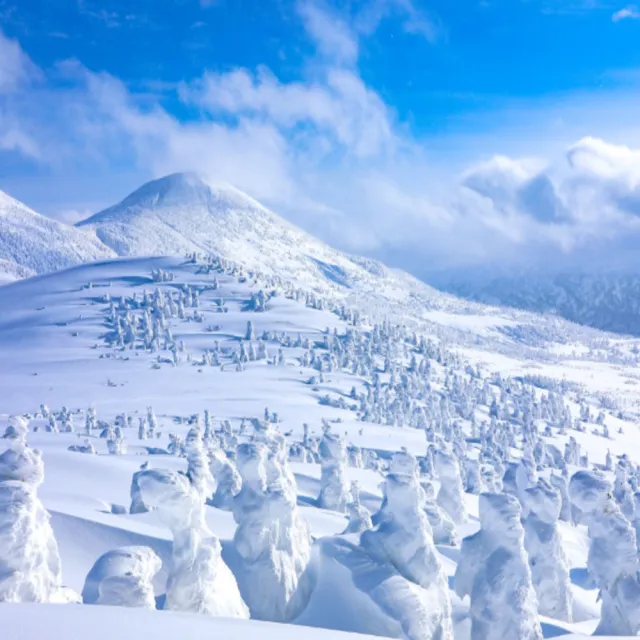 【喜鴻假期】★星宇樹冰奇遇X東北北海道７日★八甲田樹冰、雪列車、函館夜景、雪猴泡湯、札幌燈節