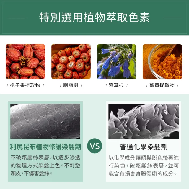 【Sastty】3入組-利尻昆布白髮用修復染髮劑200g(3色任選/植萃遮白/染護2合1)