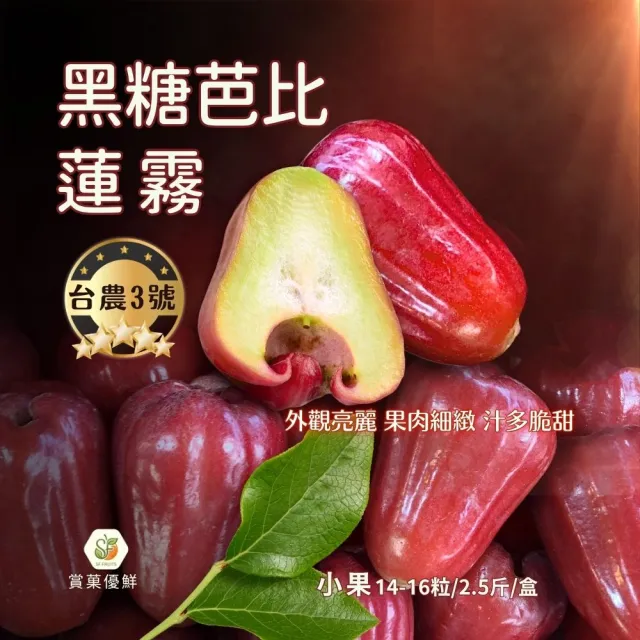 【賞菓優鮮】六龜荖濃溪畔黑糖芭比蓮霧精美小果禮盒1盒(14-16粒/2.5斤)(蓮霧界LV美譽_產地現採直送)