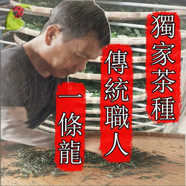 【龍源茶品】典藏茗韻杉林溪烏龍茶葉禮盒2罐組(150g/罐-300g/盒-生青茶/無焙火/附提繩/年節送禮推薦)