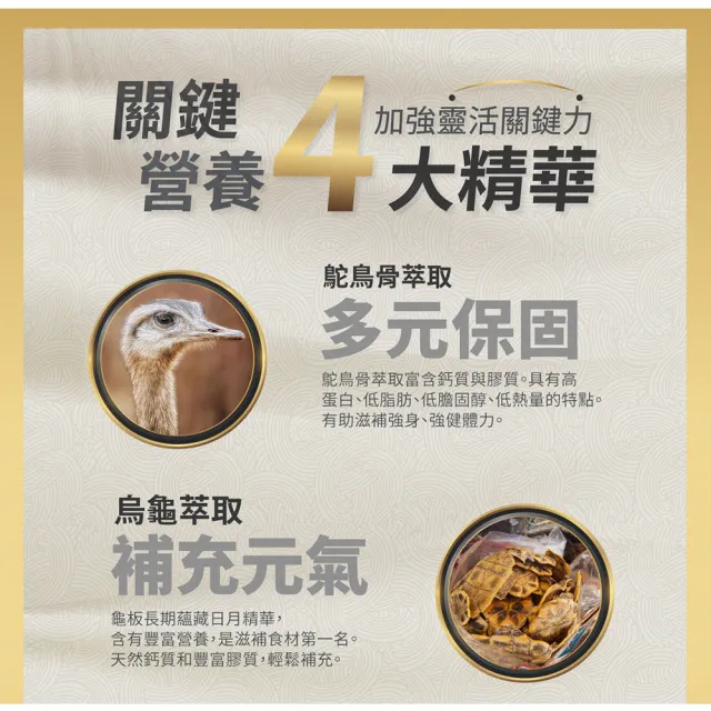 【YM BIOMED 陽明生醫】雙11限定-龜鹿鴕鳥土龍原膠 買11盒送11瓶共121瓶-效期至2027/9(10入/盒)