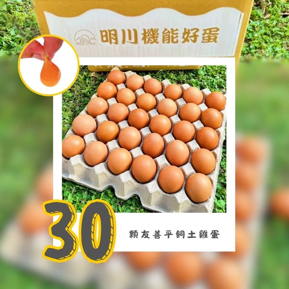【明川蛋品】靈芝葉黃素紅仁土雞蛋×30顆_30顆/盤_新鮮直送(友善平飼*非籠養*靈芝三萜&金盞花葉黃素機能蛋)