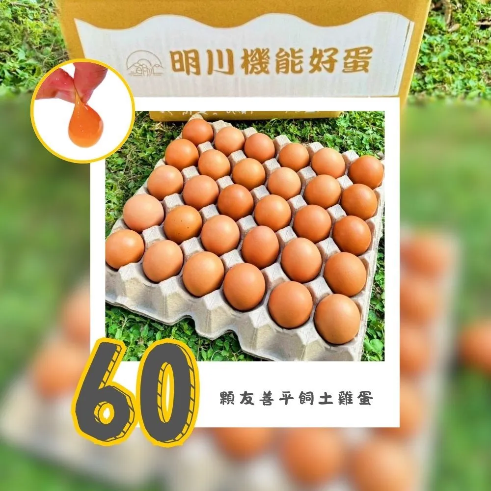 【明川蛋品】靈芝葉黃素紅仁土雞蛋×60顆_30顆/盤_新鮮直送(友善平飼*非籠養*靈芝三萜&金盞花葉黃素機能蛋)