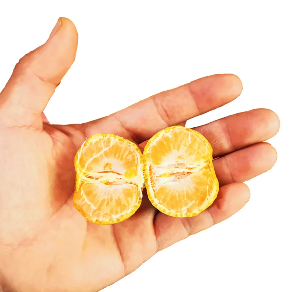 迷你珍珠砂糖橘(5斤/箱)