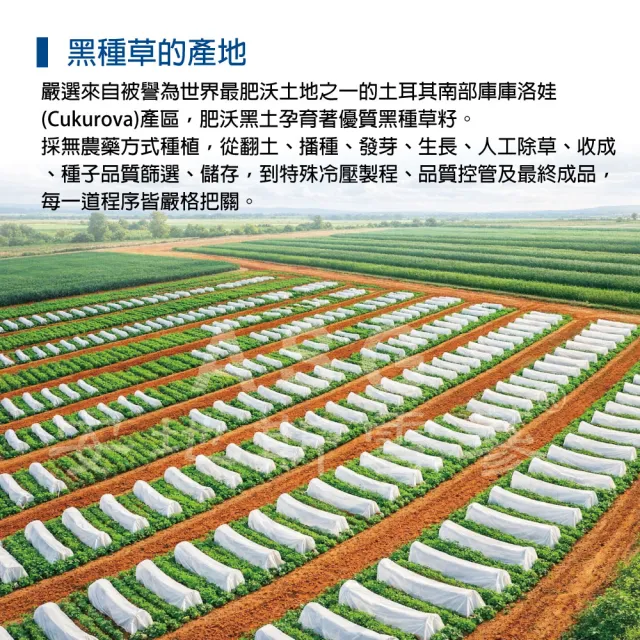 【愛善那】第一道冷壓初榨黑種草油250mlx3 共750ml(高含量『百里醌』純素食)