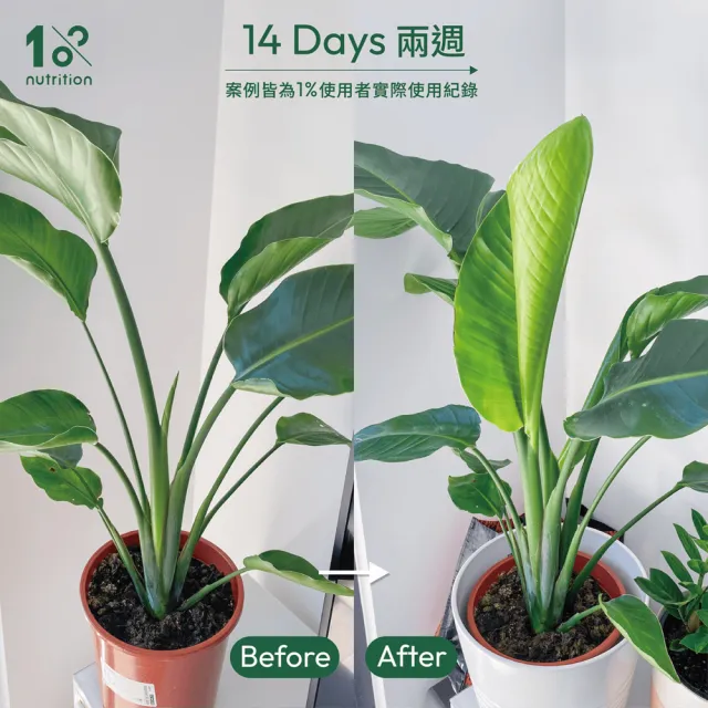 【1%植物關鍵】植物保養噴霧300ml+植物營養精華60ml(室內植物肥料 盆栽液肥 多肉養分 居家植栽營養劑 施肥)