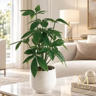 【Floral M】室內桌上型旺旺發財樹37cm仿真綠植(人造植栽/仿真樹/室內佈置/居家裝飾/桌上型植栽)