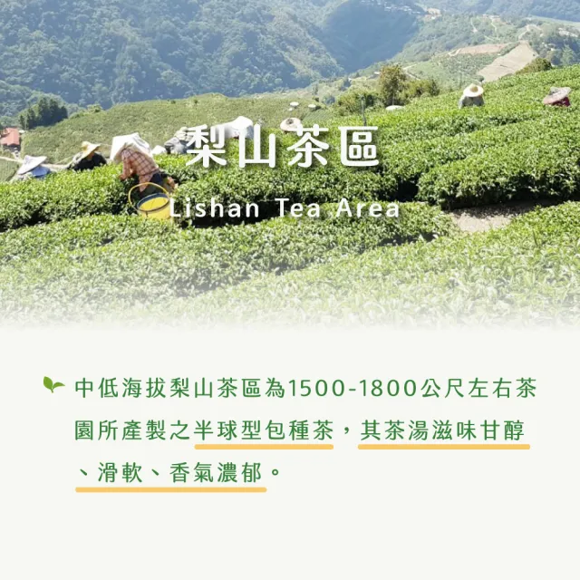 【xiao de tea 茶曉得】特等老饕級梨山烏龍茶葉(150gx6包-1.5斤)