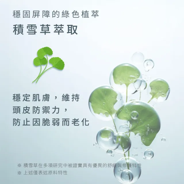 【EPURE】A2 積雪草淨屑洗髮露500ml (油性混和肌/抗頭皮屑/強化防禦)