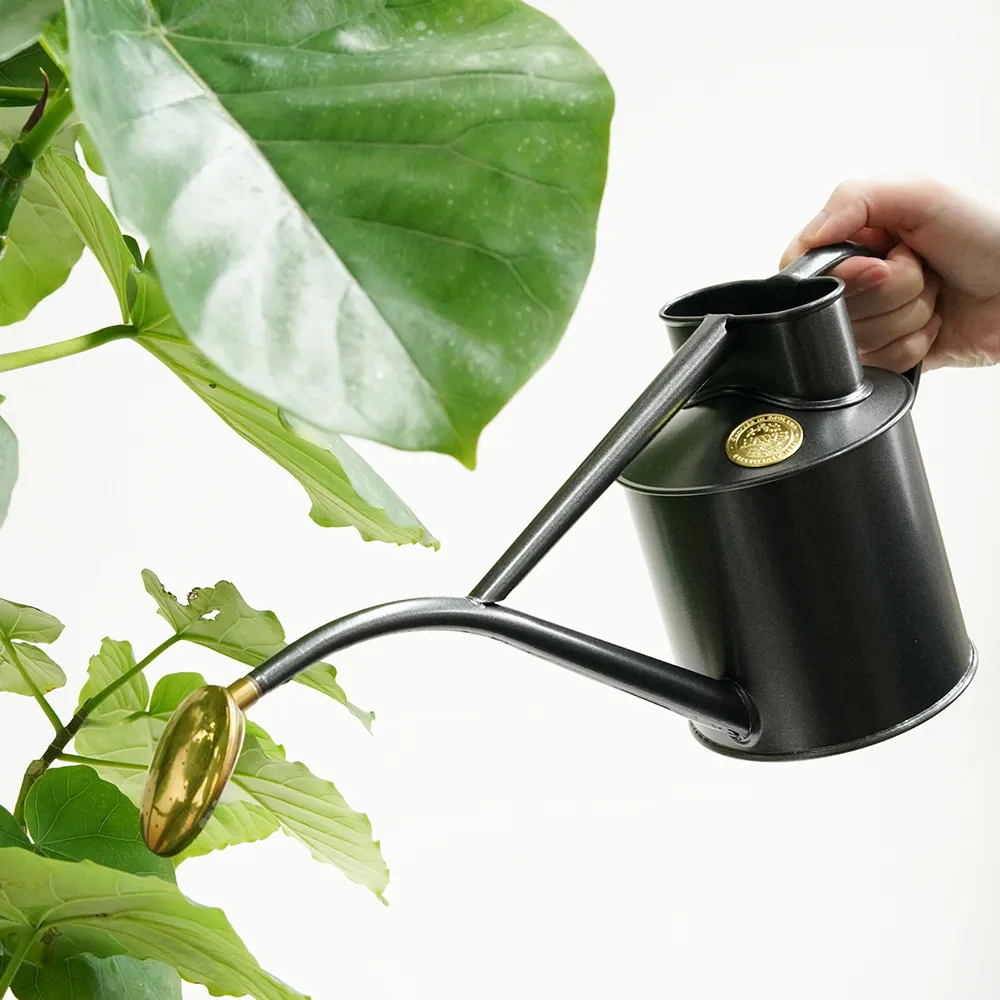 【CNFlower 西恩】HAWS 室內澆水壺1L 6色(園藝/園藝工具/灑水胡)