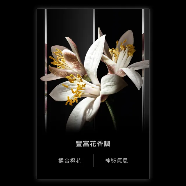 【YSL】官方直營 MYSLF 香精 100ML(木質花香調/香水/男香)