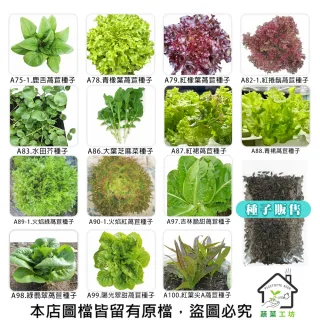 【蔬菜工坊】新手秋冬可栽培短期收成葉菜類種子系列(各包裝數量詳見內文及圖片)
