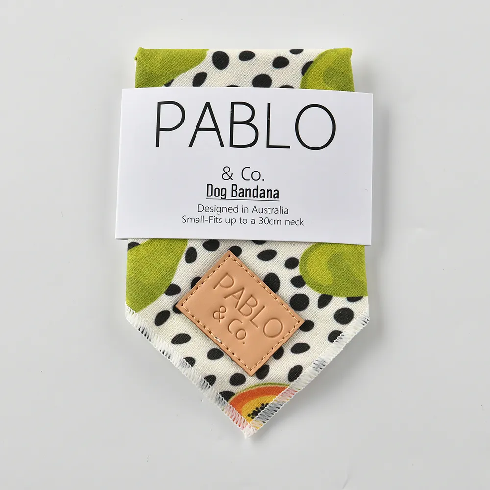 【Pablo & Co】寵物領巾 毛小孩 領巾 方巾 木瓜好忙 S