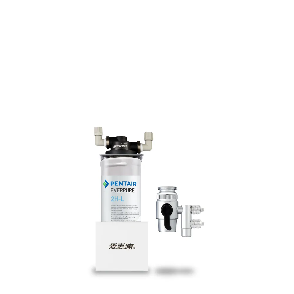 【EVERPURE 愛惠浦】櫥上型 PURVIVE SOHO-2HL分流式生飲淨水器(DIY安裝)
