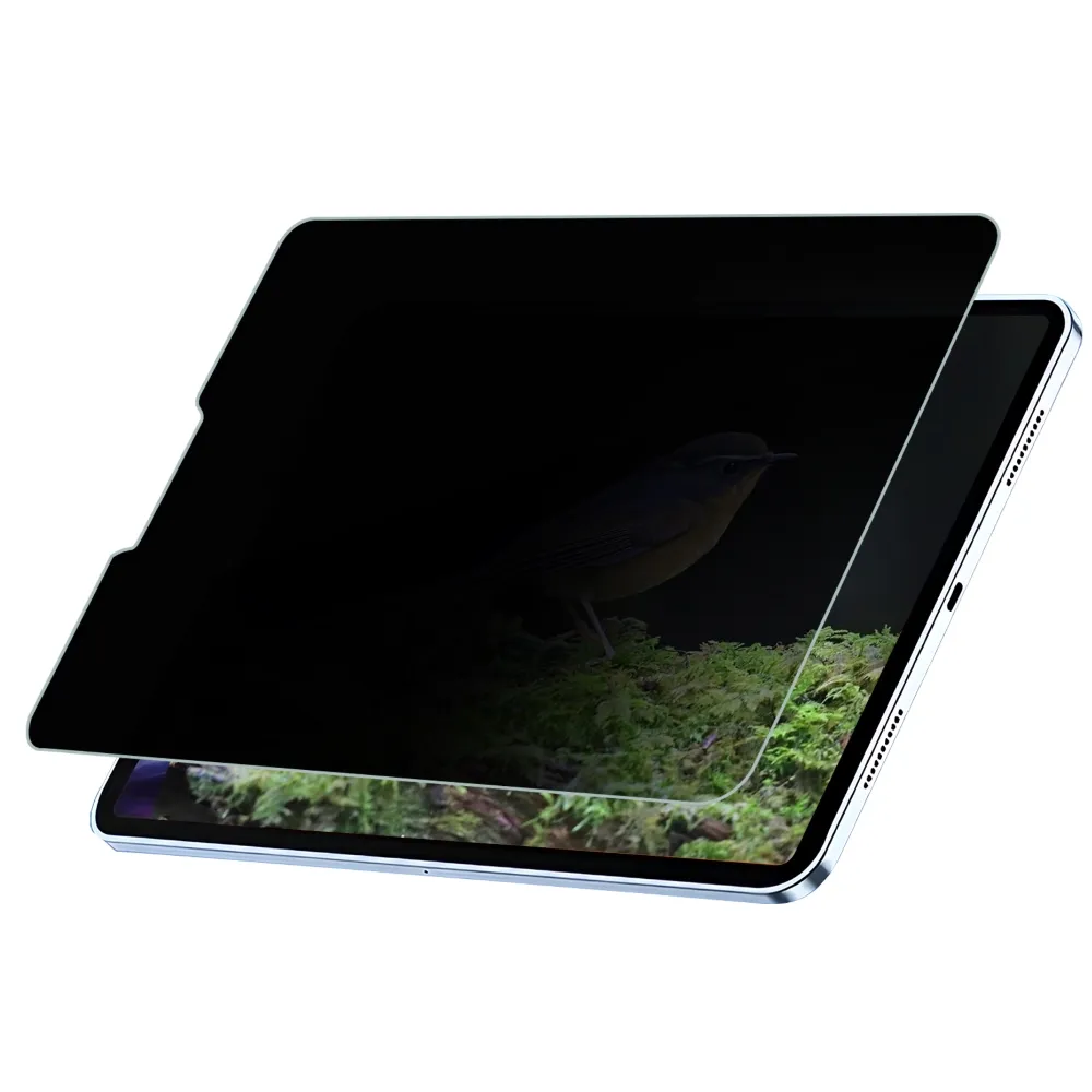 【SOBiGO】iPad 2024 9H鋼化玻璃AIR/PRO 11吋(滿版2.5D 防偷窺)