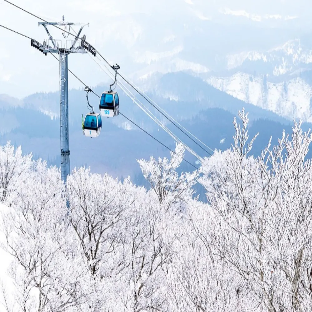 【喜鴻假期】★兒童最高省1萬．雪國青森８日★森吉山樹冰、暖爐列車、雪樂園、猊鼻溪暖桌