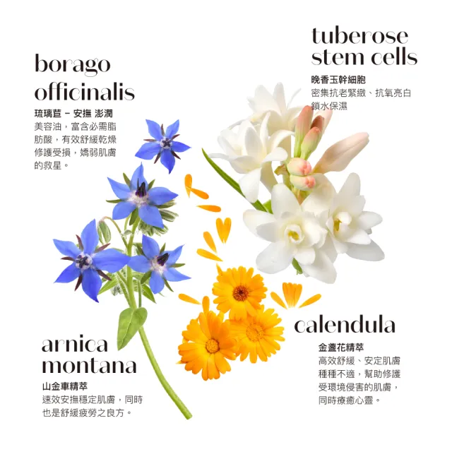 【ilapothecary】No.6 植煉琉璃苣美顏油20ml(面部精華油)