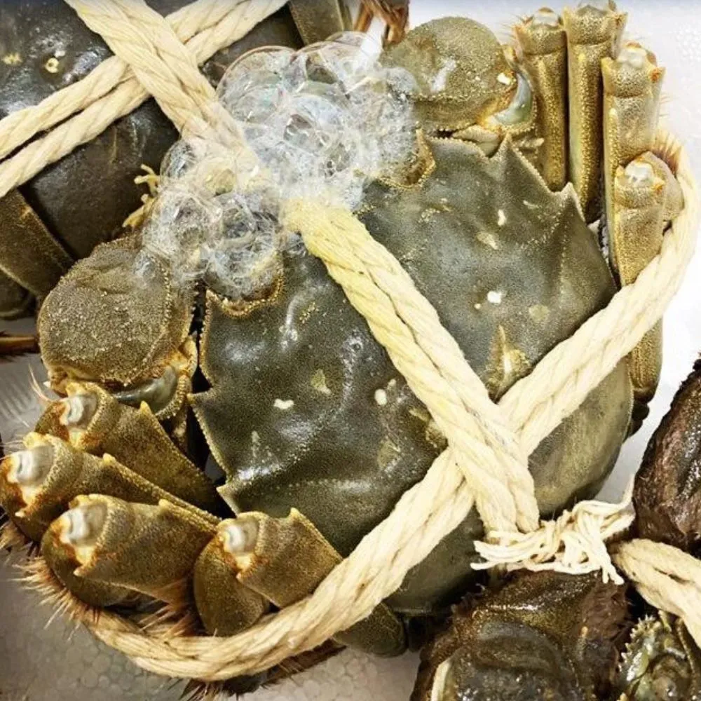 【RealShop】正宗活體江蘇紅膏大閘蟹 2入組/A級/每隻約5-5.6兩(不含繩重 死蟹包換！)