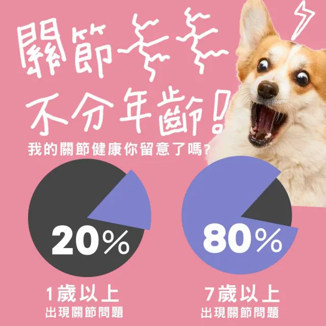 【IN-Plus】犬用 MSM關節保健軟嚼錠 60顆 (狗關節 葡萄糖胺 綠貽貝 BCAA)