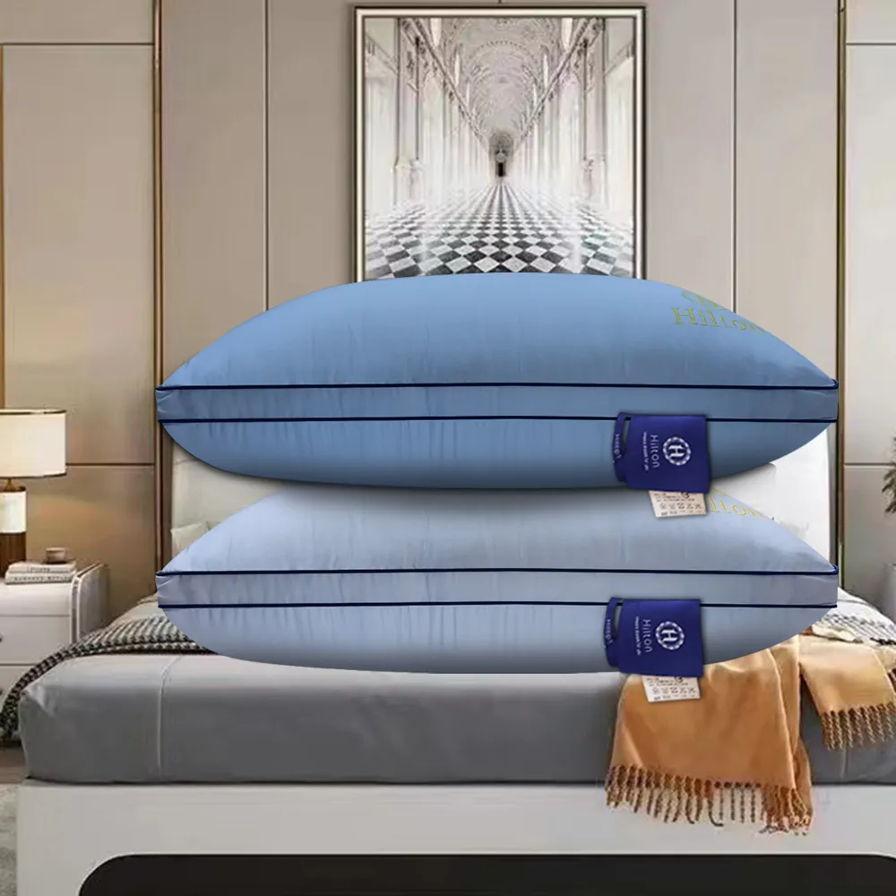【Hilton 希爾頓】皇家頂級銀離子100支紗萊賽爾獨立筒枕/二色任選(枕芯x1+枕套x1/萊賽爾枕/枕頭)