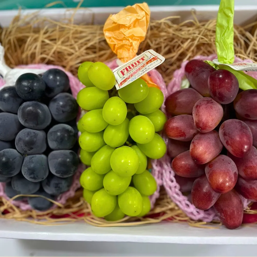 【RealShop】日本三色葡萄麝香+貓眼+妃紅提葡萄1.7kg±10%x1盒(共三房裝 水果禮盒 送禮)