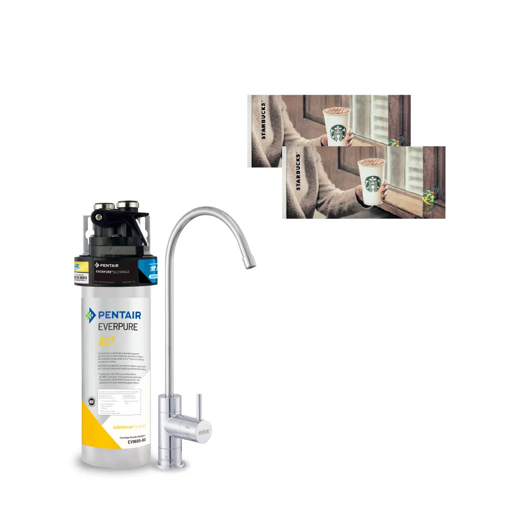 【EVERPURE 愛惠浦】櫥下型 PURVIVE-AC2生飲淨水器