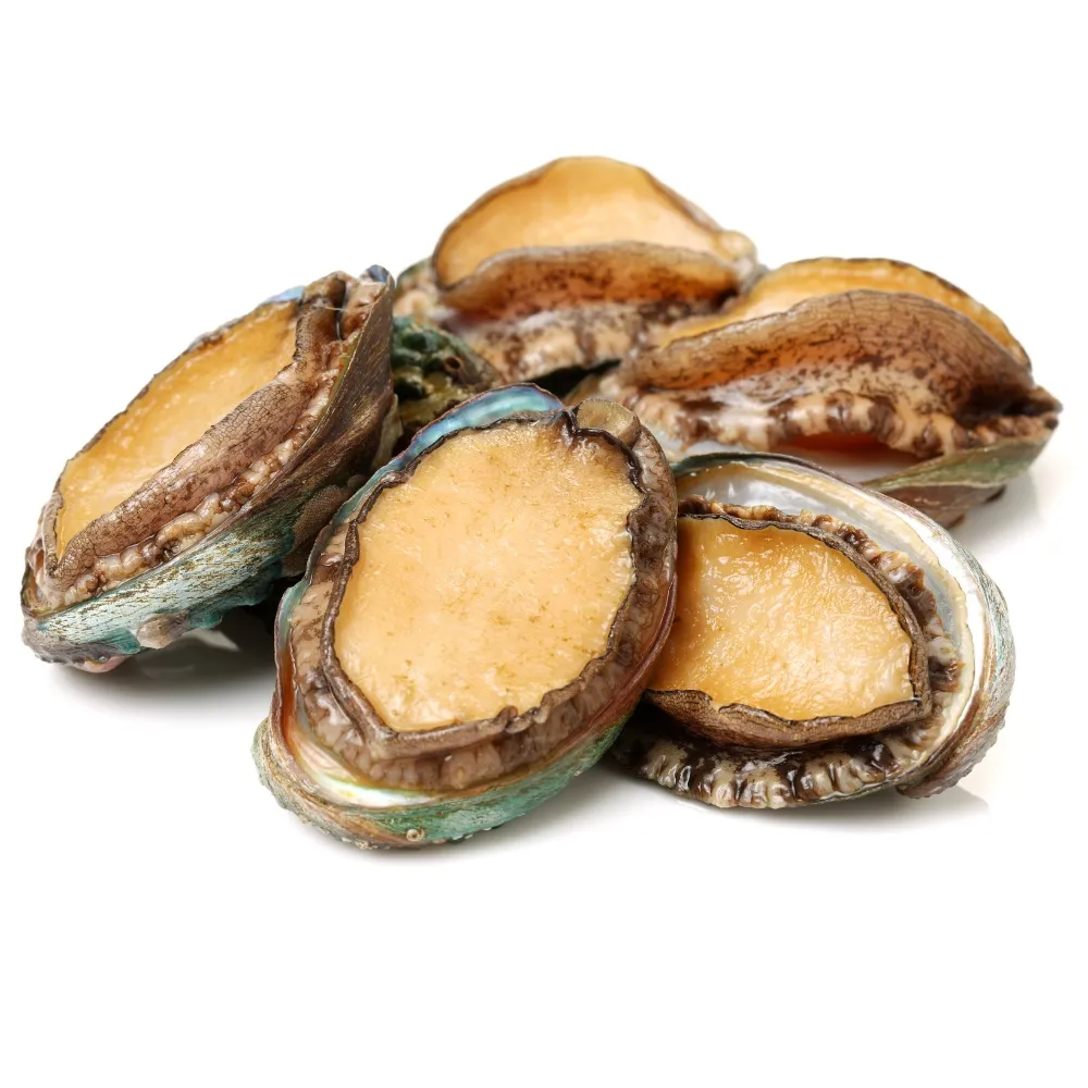 【RealShop】岩見鮑魚 1kg/約24顆 x 2入組(共2kg約48顆 年菜 年節 過年 真食材本舖)