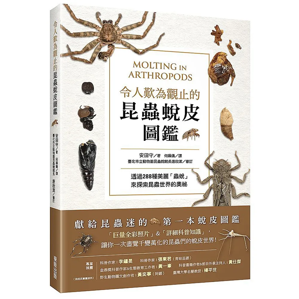 令人歎為觀止的昆蟲蛻皮圖鑑：透過288種美麗「蟲蛻」來探索昆蟲世界的奧祕