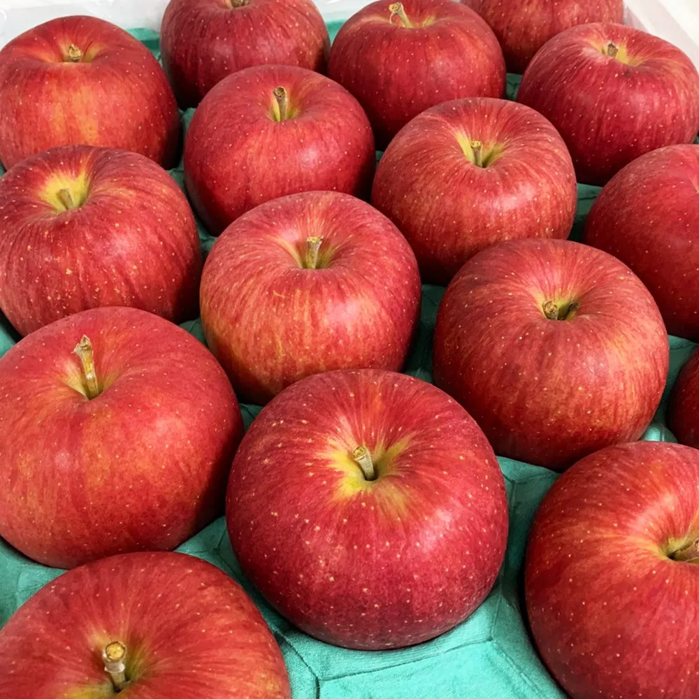 【RealShop】日本紅顏姬蘋果36粒頭1.6kg±10%x1盒(6顆裝禮盒 真食材本舖)