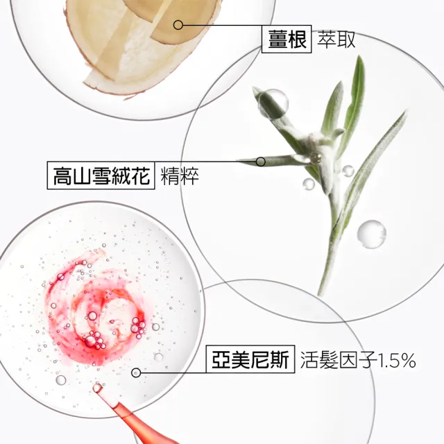 【KERASTASE 巴黎卡詩】髮浴補充包 500ml (多款任選/豐盈/護色/油水平衡)