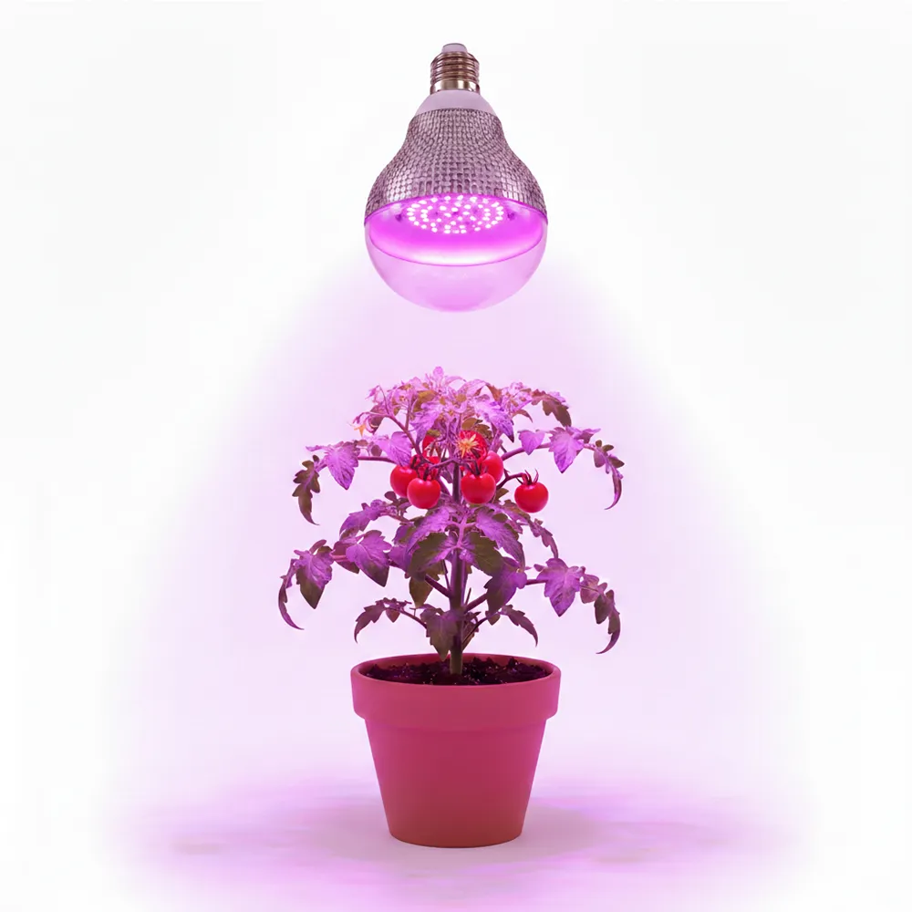 【JIUNPEY 君沛】15W 紅藍混光E27植物燈泡(植物生長燈)
