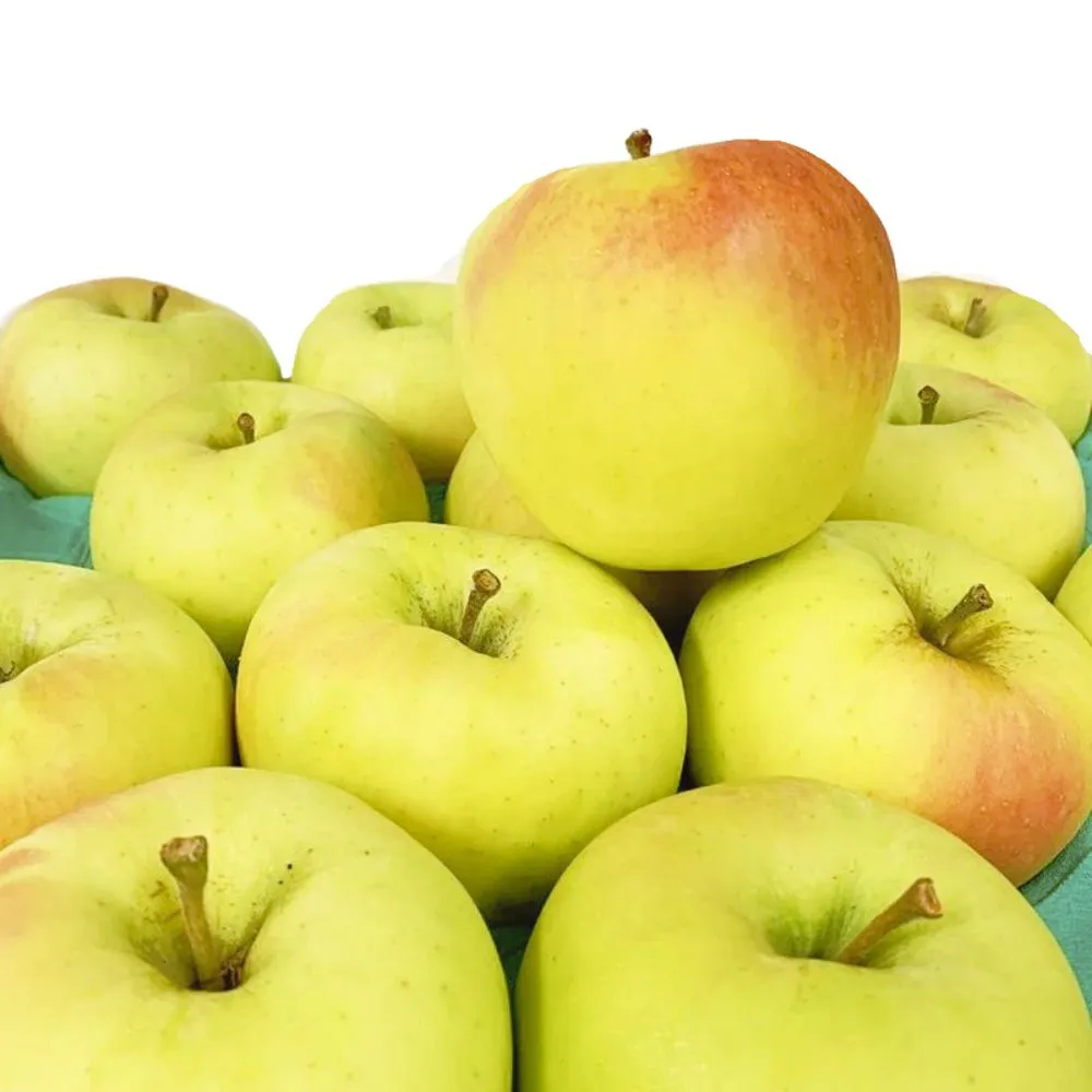 【RealShop】日本名月蘋果1.6kg±10%x1盒(6顆裝禮盒 36粒頭 真食材本舖)