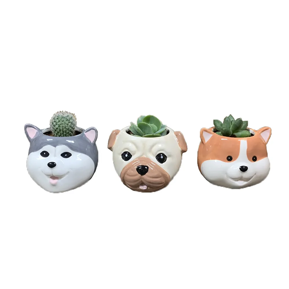 【園藝世界】活體植栽-動物造型盆3入組(多肉/造型盆/2024新款)