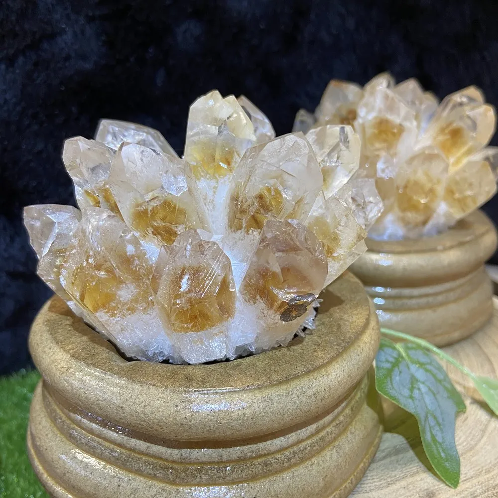 【Cozy 世界水晶原礦與茶】黃銀山晶花簇養晶晶品 28-1(具有增強財運功效)