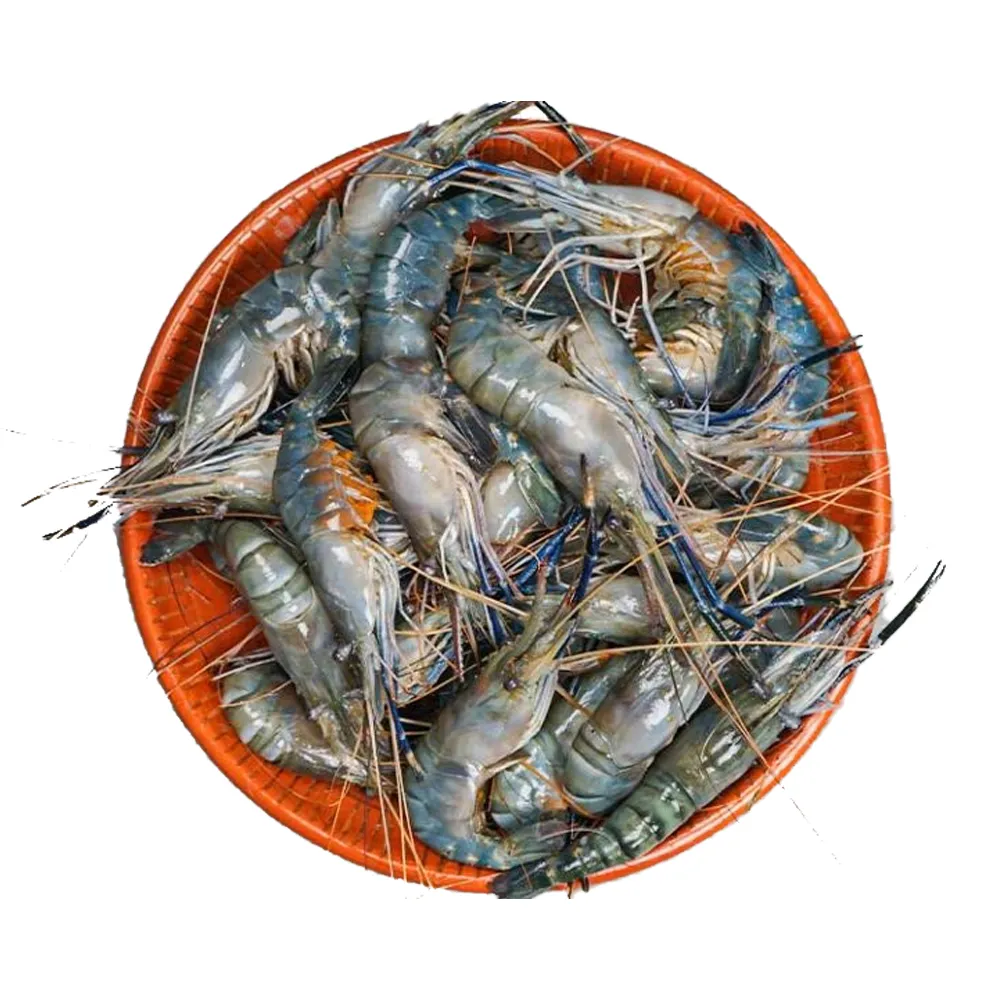 【好神】鮮凍泰國蝦8斤組(600g/16-17尾/盒/中秋烤肉/火鍋/燒烤)