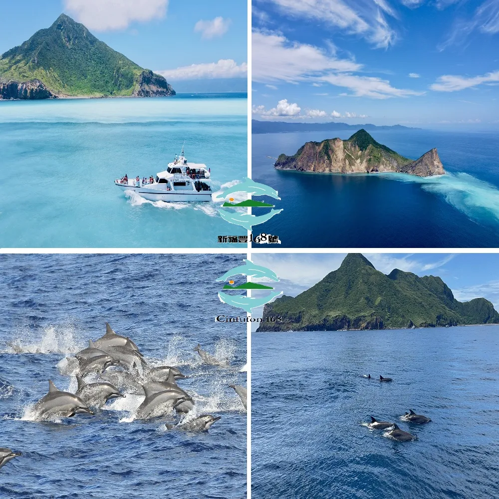 宜蘭新福豐168賞鯨旅遊｜兒童票★賞鯨＋繞龜山島＋登龜山島(三合一)