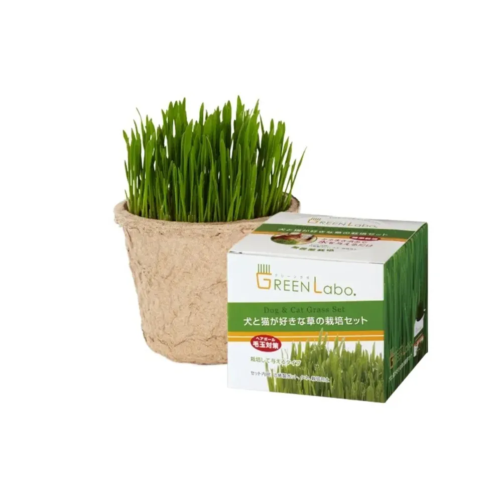 日本DIY新鮮燕麥貓草種植包*兩入組